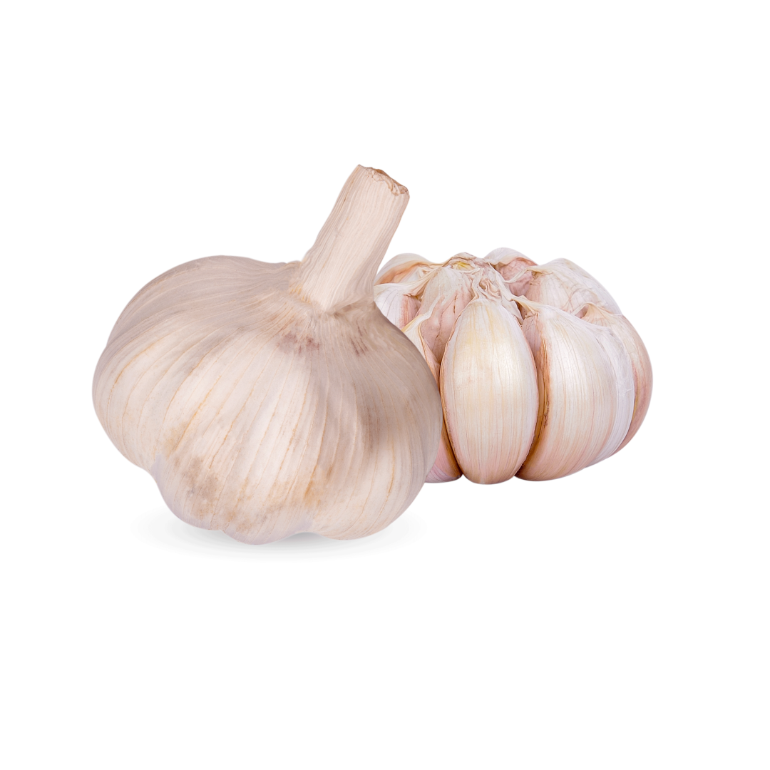 garlic (1)