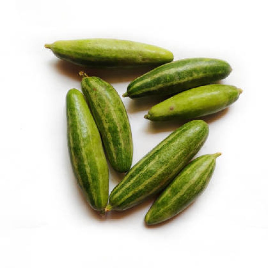 Pointed gourd potol green vegetable on white background